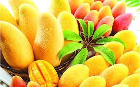 mango-festival-2