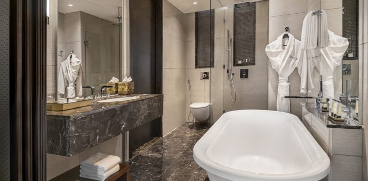 pullman-room-washroom-2
