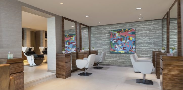 salon-2-2