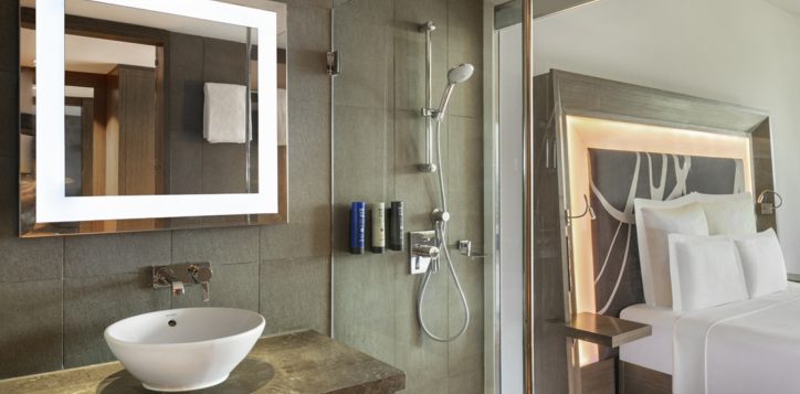 standard-room-washroom_novotel-2