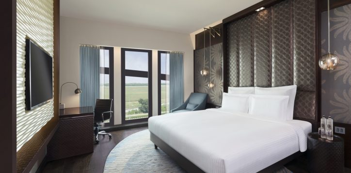 1636-kingroom-runway-view-opt1-3-2